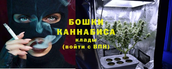 эйфоретик Краснослободск