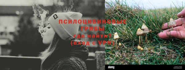 эйфоретик Краснослободск
