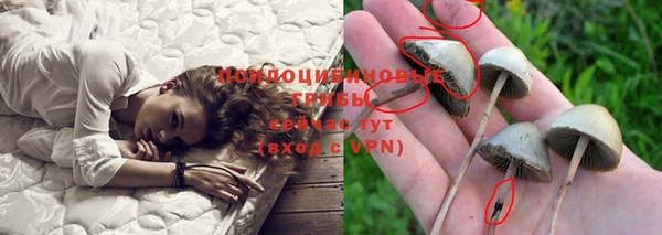 мяу мяу мука Краснотурьинск