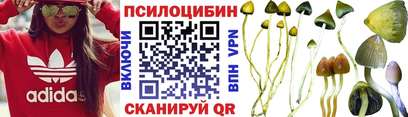 MEGA ССЫЛКА  купить наркотик  Сураж  Галлюциногенные грибы мухоморы 