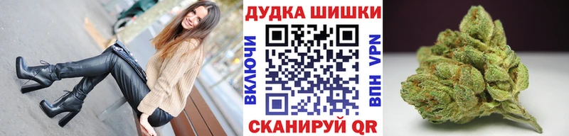 Марихуана марихуана  Сураж 